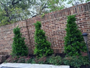 Кирпичный забор сплошной 12 метров фото в Озёрах